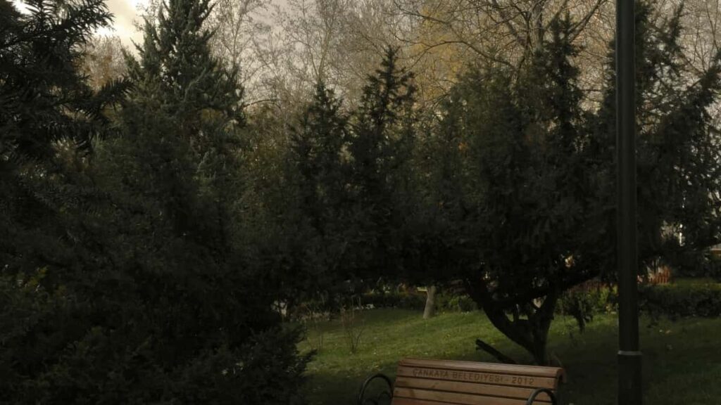 Kako influenseri na WhatsAppu u Srbiji nalaze slovenija oglašivače za saradnju