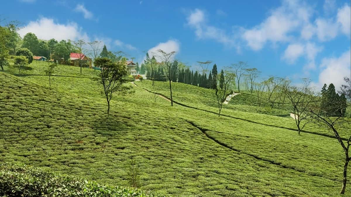 2025 Bulgaria LinkedIn Cena Oglasa za Srbija Marketing
