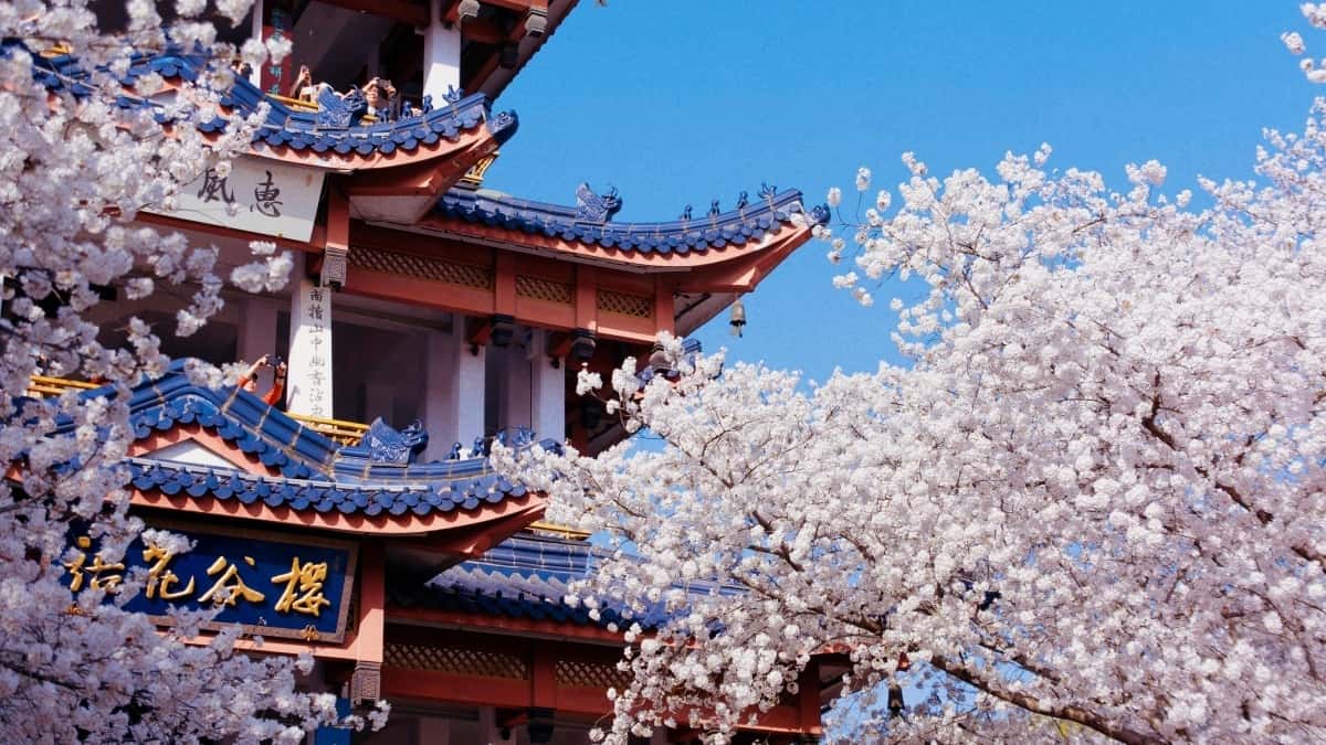 2025 Netherlands YouTube Cena Oglasa za Sve Kategorije u Srbiji