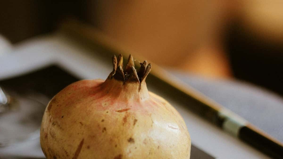 Kako brendovi iz Srbije lako regrutuju influensere na Roposo i u Holandiji