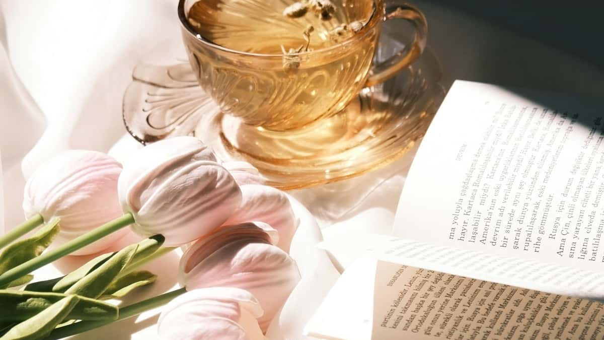 Oglašivači: kako naći Jingdong kreatore brzo i sigurno