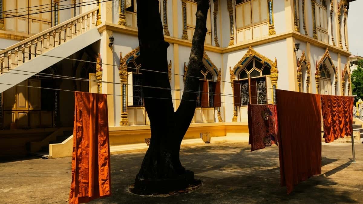 Kreatori: Kako doći do ekvadorskih brendova na Rumble?