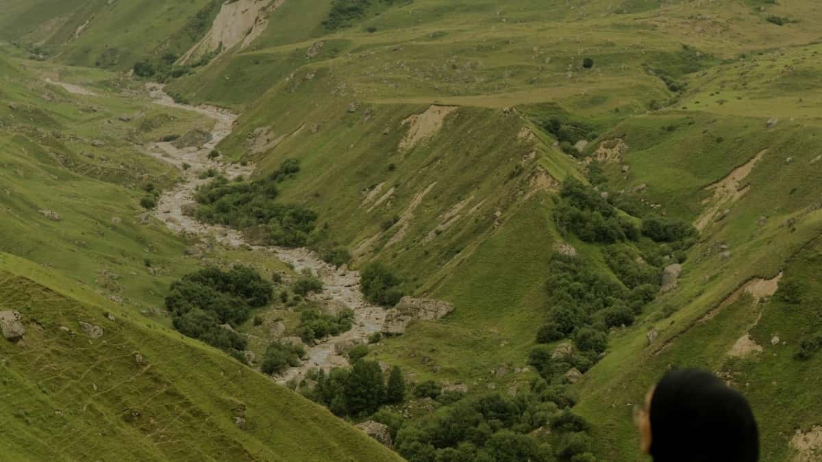 Kreatori: Kako do rumunskih brendova na Jingdongu?