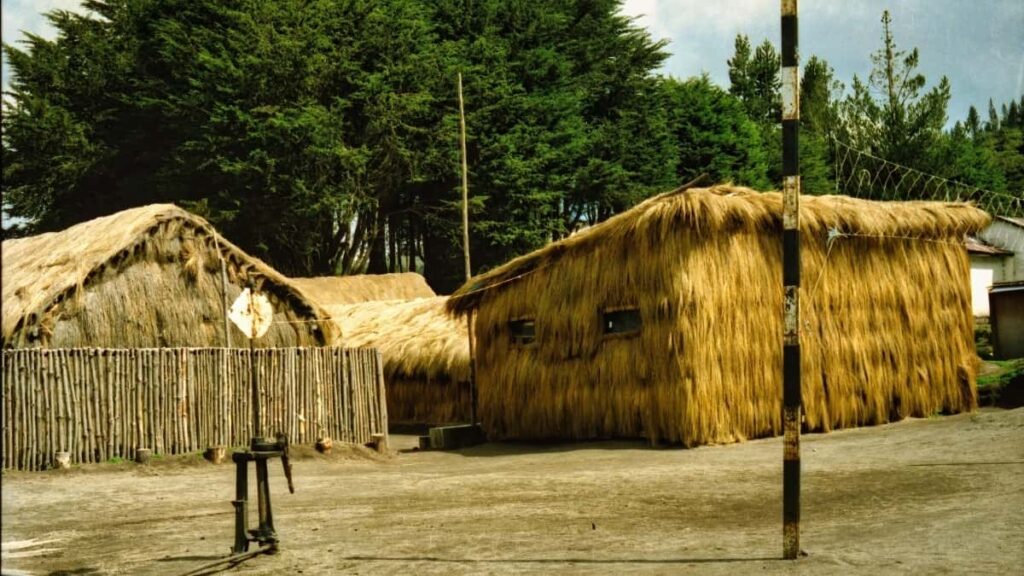 Praktican vodic za kreatore iz Srbije koji zele da targetiraju Qatar brendove preko Disney Plus: taktike saradnje, primeri kampanje Winter in Qatar 2026 i kako napraviti buzz pre lansiranja proizvoda.