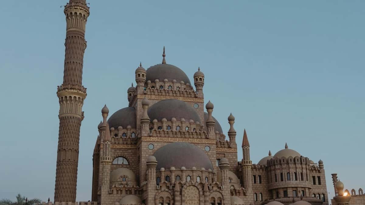 Brendiranje preko Sri Lanka Disney Plus kreatora: brzo i odgovorno