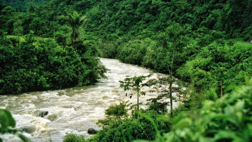 Praktican vodic za oglasivace iz Srbije: kako locirati, selektovati i angazovati Takatak kreatore iz Kine za kampanje sa mikro-influenserima strategije, alati i rizici.