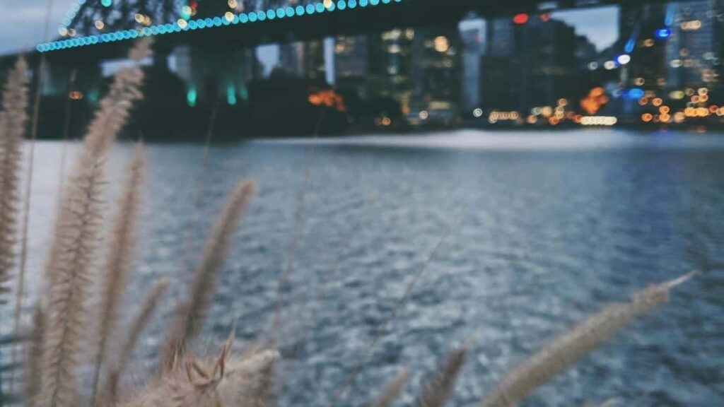 Praktican vodic za oglasivace iz Srbije: kako pronaci i sklopiti dugorocne saradnje sa Italy Zalo kreatorima srednjeg ranga (mid-tier). Taktike, alati, rizici i plan saradnje.