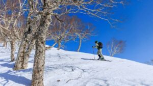Praktican vodic za srpske oglasivace: kako identificirati, kontaktirati i testirati brazilske kreatore na Bilibili za promociju novih linija zdravstvenih suplemenata.