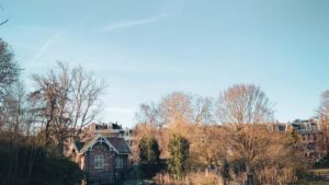 Praktican vodic za oglasivace iz Srbije: kako pronaci, angazovati i meriti Zalo kreatore iz Obale Slonovace koji promovisu online platforme za ucenje.