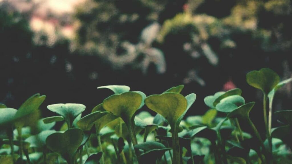 Praktican vodic za kreatore iz Srbije: kako naci i kontaktirati venezuelske brendove na VKontakte, dogovoriti saradnju i stilizovati outfite sa njihovim proizvodima.