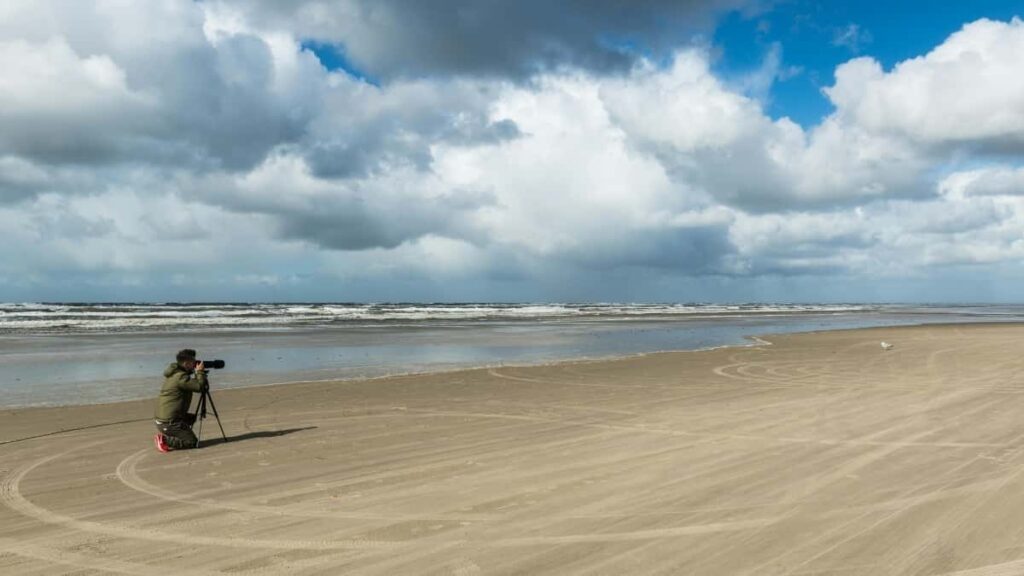 Praktican vodic za kreatore iz Srbije: kako dosegnuti brendove iz Obale Slonovace na Taobao, prilagoditi ponude za lokalne kupce i dizajnirati CTAs koji pretvaraju engagement u prodaju.