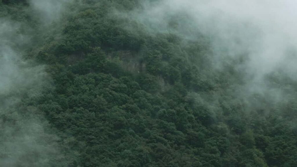 Praktican vodic za kreatore iz Srbije: kako kontaktirati litvanske brendove preko Snapchat-a i praviti lokalizovan sadrzaj za ciljna trzista.