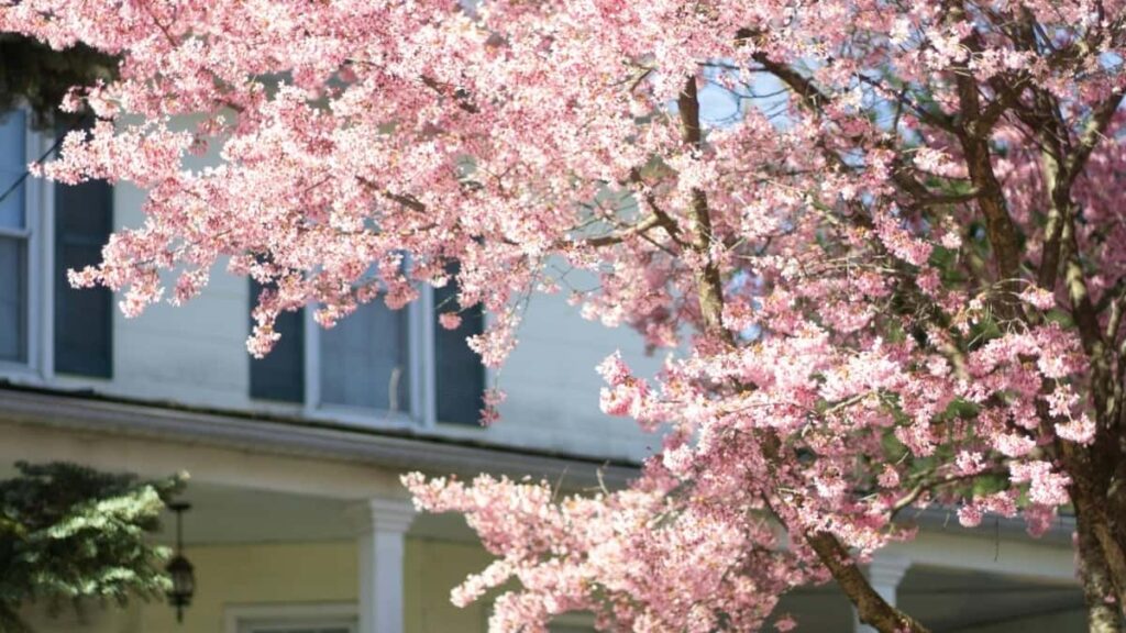 Praktcan vodic za kreatore iz Srbije: kako pristupiti ruskim brendovima na YouTubeu, pregovarati za PR pakete i minimizirati rizike realne taktike i lokalni saveti.