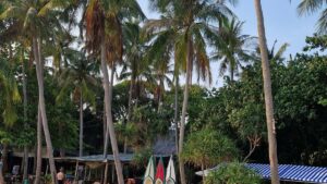 Praktican vodic za oglasivace iz Srbije: kako pronaci i angazovati Mexico Josh kreatore za iskrene, kulturno relevantne recenzije.