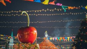 Praktican vodic za kreativce iz Srbije: kako naci, kontaktirati i pregovarati sa malteskim brendovima preko WhatsApp-a za recenzije fitnes opreme.