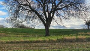 Praktican vodic za kreatore iz Srbije: kako kontaktirati oman brendove na Josh i podeliti ogranicene popuste taktike, primeri i lokalni kontekst.
