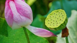 Praktican vodic za srpske oglasivace: kako pronaci i angazovati azerske WeChat kreatore koji promovisu sezonske modne trendove taktike, izvori i primeri.