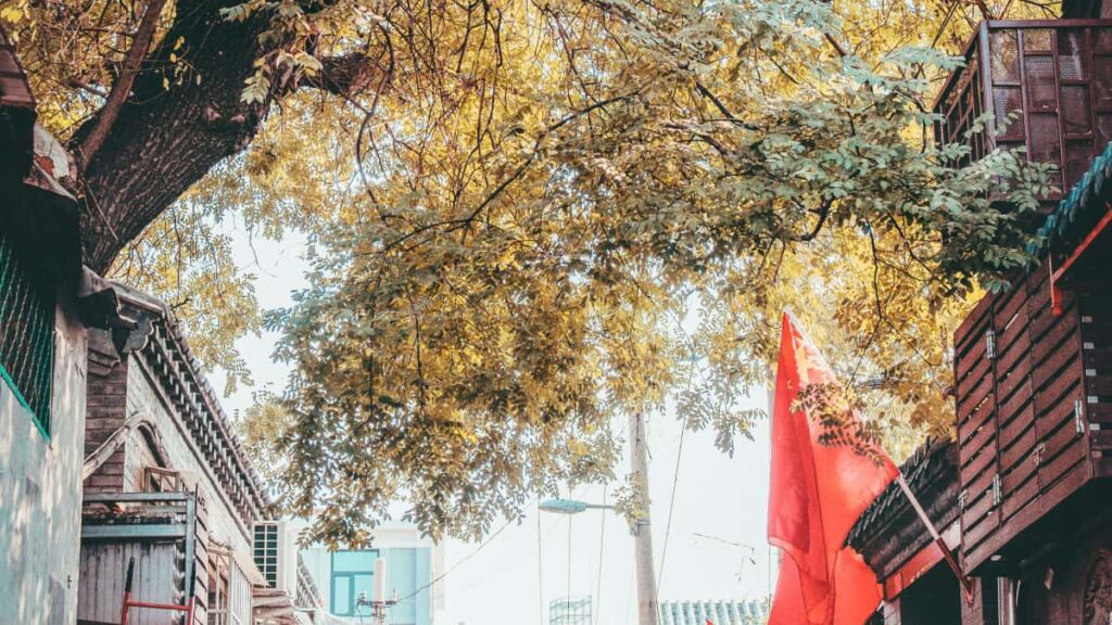 Praktican vodic za kreatore iz Srbije: kako pronaci, kontaktirati i pregovarati sa brazilskim brendovima na Taobao-u radi testova i recenzija edukativnih platformi.