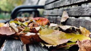 Praktican vodic za srpske kreatore: kako pristupiti japanskim brendovima preko Twitcha i lansirati muzicke izazove koji prodaju strategije, primeri i koraci za 2026.